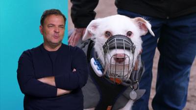 Die Unvermittelbaren - Mit Martin Rütter: Folge 13