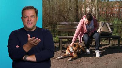 Die Unvermittelbaren - Mit Martin Rütter: Folge 14