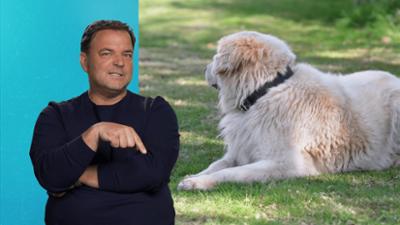 Die Unvermittelbaren - Mit Martin Rütter: Folge 16