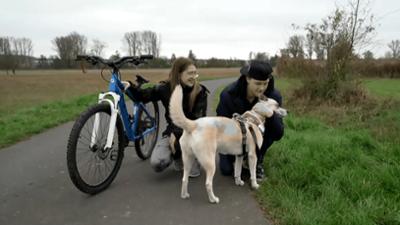 Die Unvermittelbaren - Mit Martin Rütter: Das große Wiedersehen: Folge 1: Das große Wiedersehen