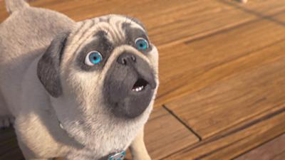 Mighty Mops: Staffel 1, Folge 38: Hatschi!