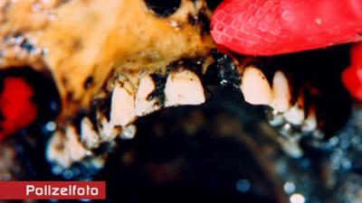 Anwälte der Toten: Prostituiertenmord durch Knacki / Brutaler Ehemann ermordet junge Frau