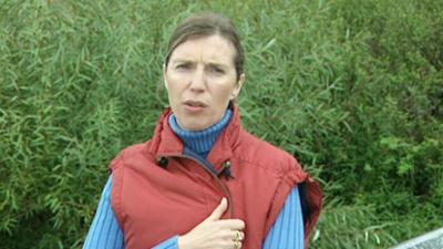 Anwälte der Toten: Folge 8: Grausamer Mord an einer Rentnerin