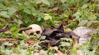 Anwälte der Toten: Folge 2: Schädel im Wald / Blei im Schädel / Bei Anruf Mord