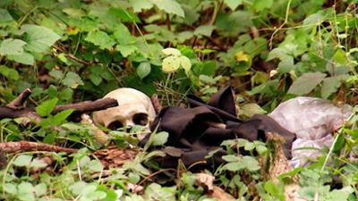Anwälte der Toten: Folge 2: Schädel im Wald / Blei im Schädel / Bei Anruf Mord