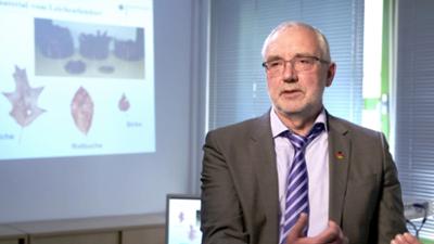 Anwälte der Toten: Folge 2: Die Tote im Eichenwald / Tod eines Zeitungszustellers