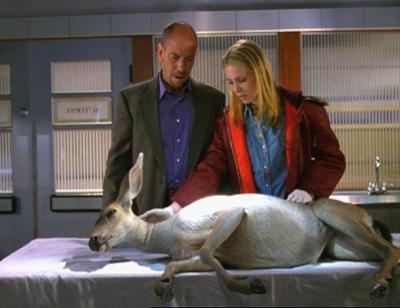 Crossing Jordan - Pathologin mit Profil: Staffel 1, Folge 13: Zeichen und Wunder Crossing Jordan - Pathologin mit Profil: Staffel 1, Folge 13: Zeichen und Wunder