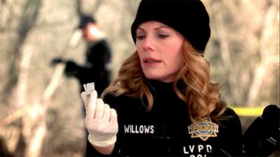 CSI: Den Tätern auf der Spur: Folge 16: Die Last der Liebe