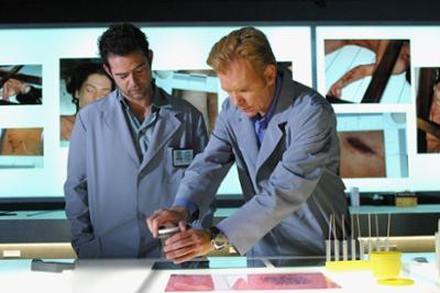 CSI: Miami: Staffel 1, Folge 12: Der Sündenbock
