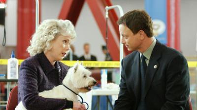 CSI: New York: Folge 12: Stichwunden
