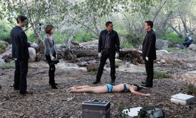 CSI: New York: Staffel 7, Folge 20: Kofferleiche
