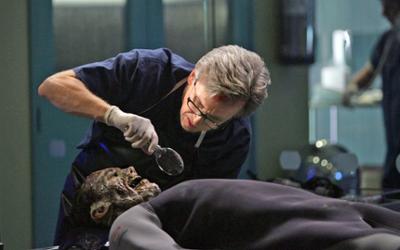 CSI: New York: Staffel 4, Folge 2: Abgetaucht