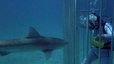 Der Sechs Millionen Dollar Mann: Staffel 5, Folge 1: Raubzug der Haie - Teil 1