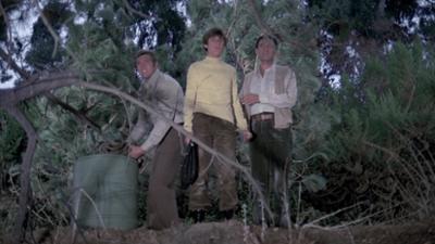 Der Sechs Millionen Dollar Mann: Staffel 3, Folge 12: Flucht in die Heimat