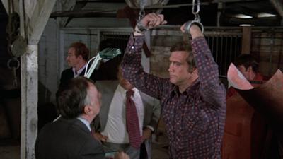 Der Sechs Millionen Dollar Mann: Staffel 1, Folge 15: Gefahr für Steve Austin