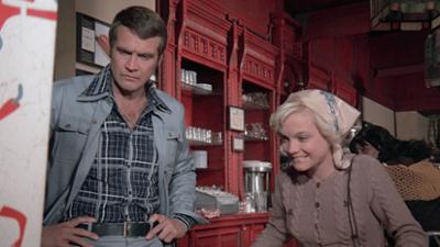 Der Sechs Millionen Dollar Mann: Staffel 3, Folge 20: Die Verschwörung