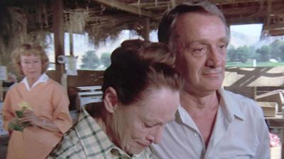 Der Sechs Millionen Dollar Mann: Staffel 2, Folge 4: Personenschutz