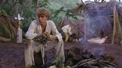 Der Sechs Millionen Dollar Mann: Staffel 5, Folge 17: Insel der Verschollenen - Teil 2