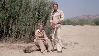 Der Sechs Millionen Dollar Mann: Staffel 4, Folge 3: Flug XJ7 verschollen