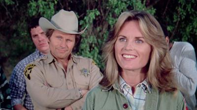 Der Sechs Millionen Dollar Mann: Staffel 4, Folge 18: Die Intrige