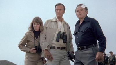 Der Sechs Millionen Dollar Mann: Staffel 4, Folge 16: Hetzjagd - Teil 2