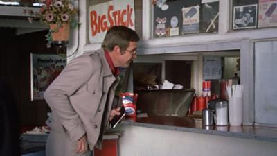 Der Sechs Millionen Dollar Mann: Staffel 1, Folge 9: Jagd nach dem Augenzeugen