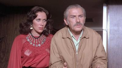 Der Sechs Millionen Dollar Mann: Staffel 4, Folge 20: Agentenrummel