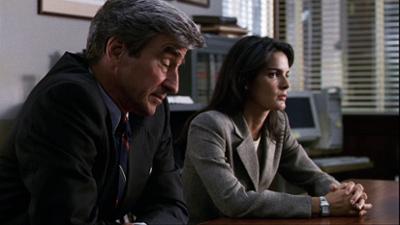 Law & Order: Staffel 9, Folge 3: Der Spitzel