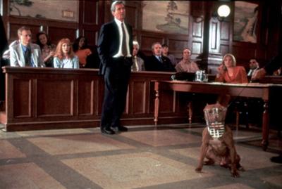 Law & Order: Staffel 12, Folge 1: Ein Hundeleben