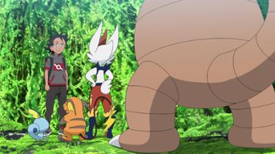 Pokémon Meister-Reisen: Die Serie: Folge 5: Das Heilen des Heilers!