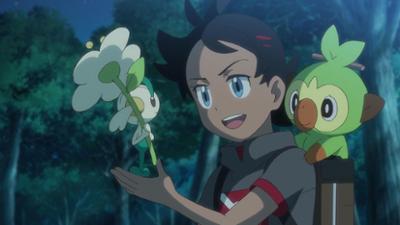 Pokémon Meister-Reisen: Die Serie: Folge 18: Die Farben der Nacht!