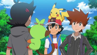 Pokémon Meister-Reisen: Die Serie: Folge 20: Gohs Entscheidung!