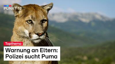 Punkt 12: Folge 195: Sendung vom 08.10.2026