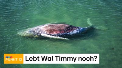 Punkt 12: Folge 139: Sendung vom 22.07.2026