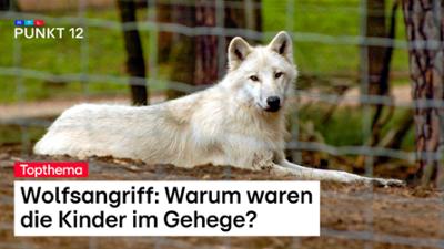 Punkt 12: Folge 210: Sendung vom 29.10.2026