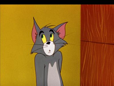 Tom und Jerry: Staffel 1, Folge 75: Tom wird geblitzt