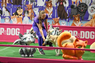 Top Dog Germany - Der beste Hund Deutschlands: Folge 3