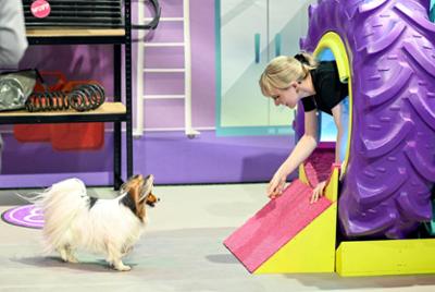 Top Dog Germany - Der beste Hund Deutschlands: Folge 4