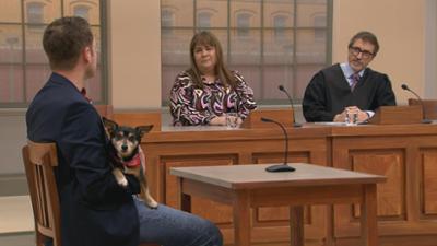 Ulrich Wetzel - Das Strafgericht: Folge 71: Der geteilte Hund