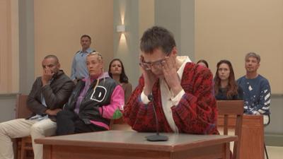 Ulrich Wetzel - Das Strafgericht: Folge 247: Macht Schaukelpferd besten Freund zum Mörder?