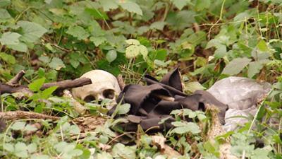 Anwälte der Toten: Folge 2: Schädel im Wald / Blei im Schädel / Bei Anruf Mord