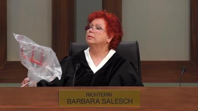 Barbara Salesch: Folge 13: Nachbarschaftskrieg auf dem Bauernhof führt zu Mistgabel-Attacke