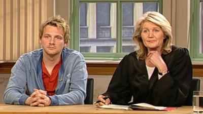 Das Familiengericht: Folge 3: Kind und Karriere