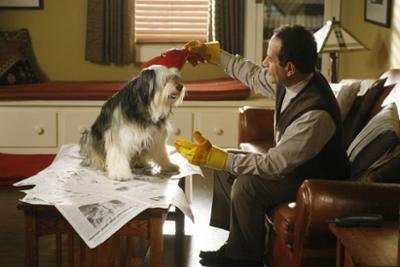 Monk: Staffel 8, Folge 20: Mr. Monk kommt auf den Hund