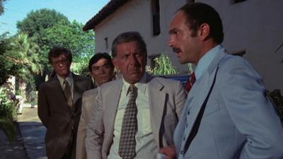 Quincy: Staffel 5, Folge 1: Im Netz der Diplomatie