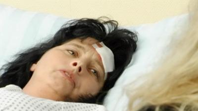 Staatsanwalt Posch ermittelt: Staffel 9, Folge 1158: Der Prügelknabe