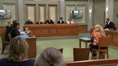 Ulrich Wetzel - Das Strafgericht: Folge 1: Die Geister, die ich rief