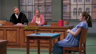 Ulrich Wetzel - Das Strafgericht: Folge 14: Ins gemachte Nest