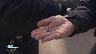 Auf Streife: Obdachlose Tochter bricht in ihr Elternhaus ein