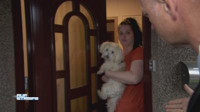 Auf Streife: Staffel 9 Folge 5 Freiheit den Fellnasen!